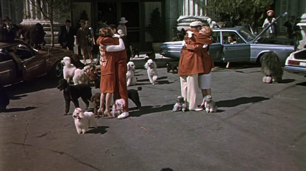 底抜けオットあぶないの画像