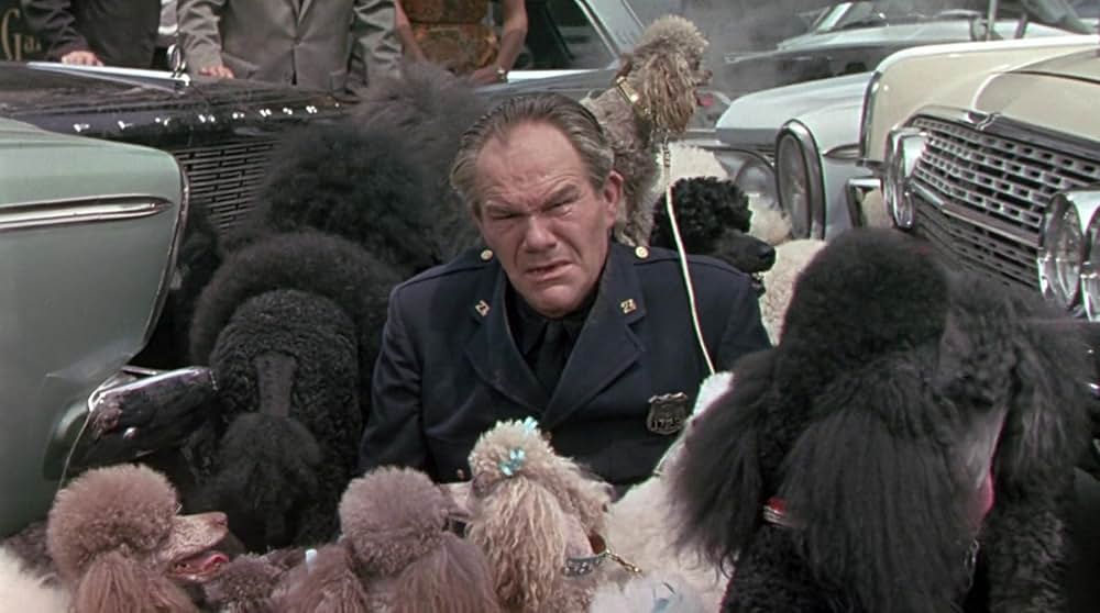 底抜けオットあぶないの写真