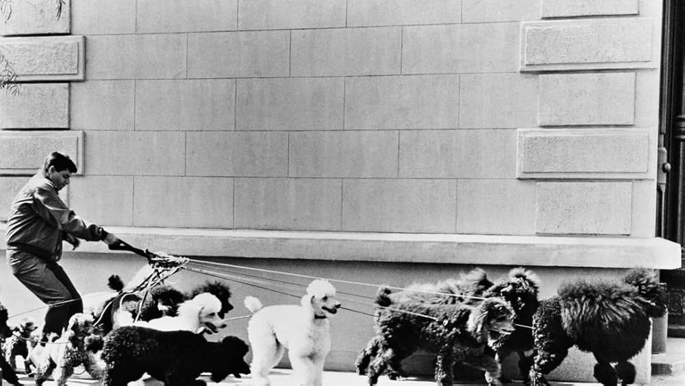 底抜けオットあぶないの画像