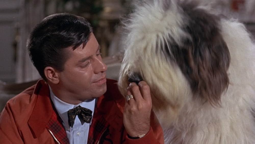 底抜けオットあぶないの画像