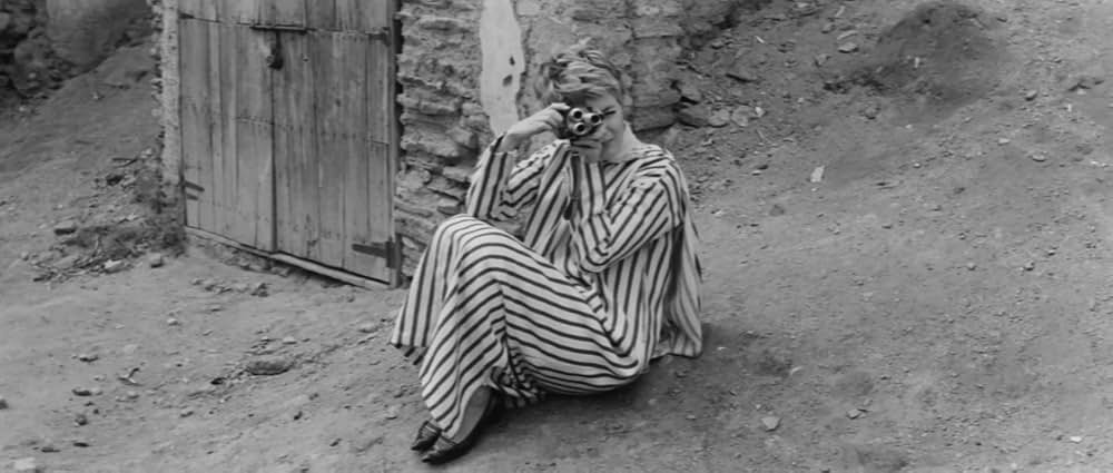 世界詐欺物語の画像