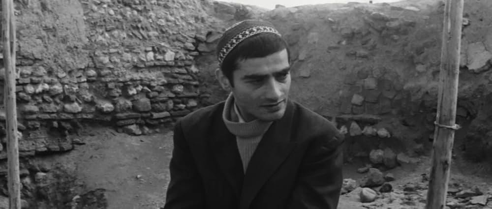 世界詐欺物語の画像