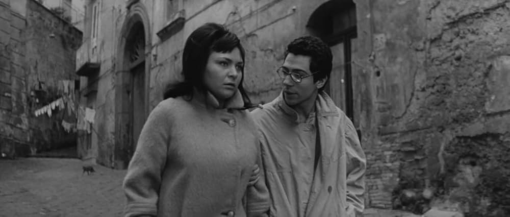 世界詐欺物語の画像