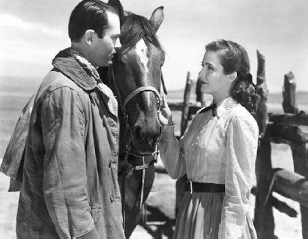 「荒野の決闘」の画像