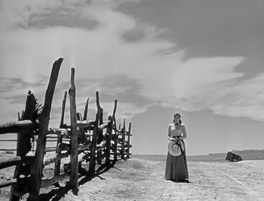 「荒野の決闘」の画像