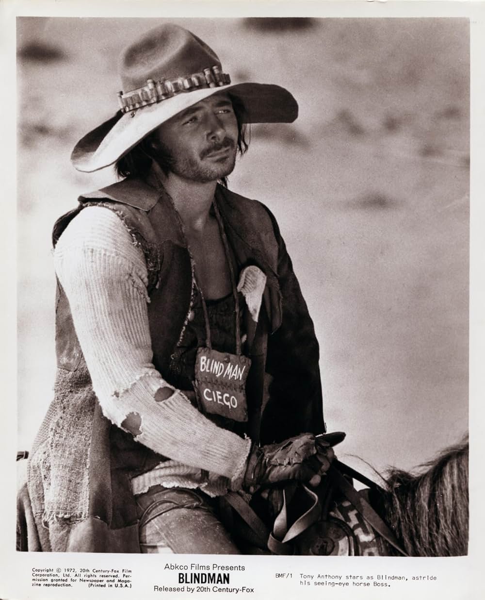 盲目ガンマンの画像