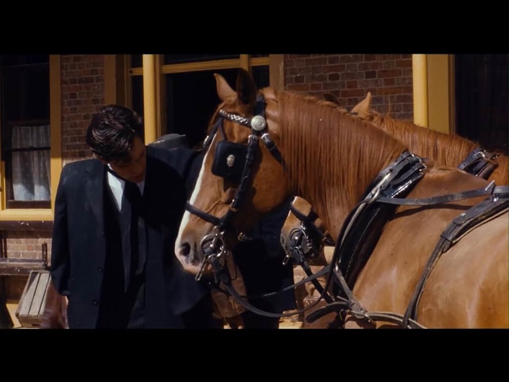 ライトハンド・マン／禁じられた抱擁の画像