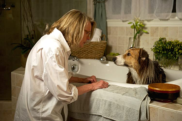 「犬と私とダンナのカンケイ」ダイアン・キートンの画像