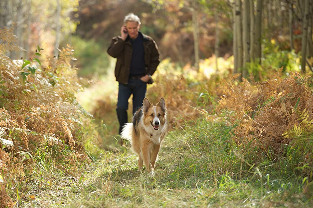 「犬と私とダンナのカンケイ」ケビン・クラインの画像