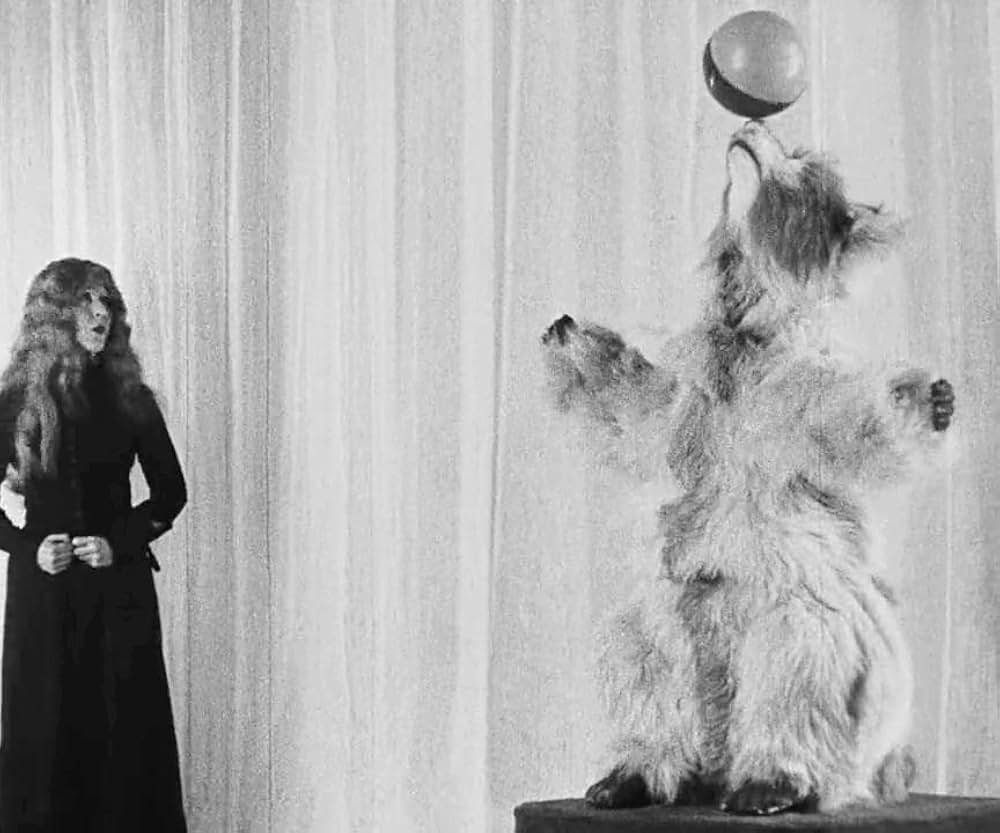 マッチ売りの少女の画像