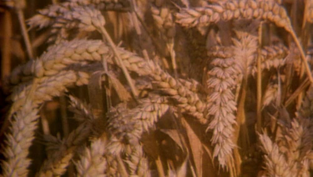 ウォー・レクイエムの画像