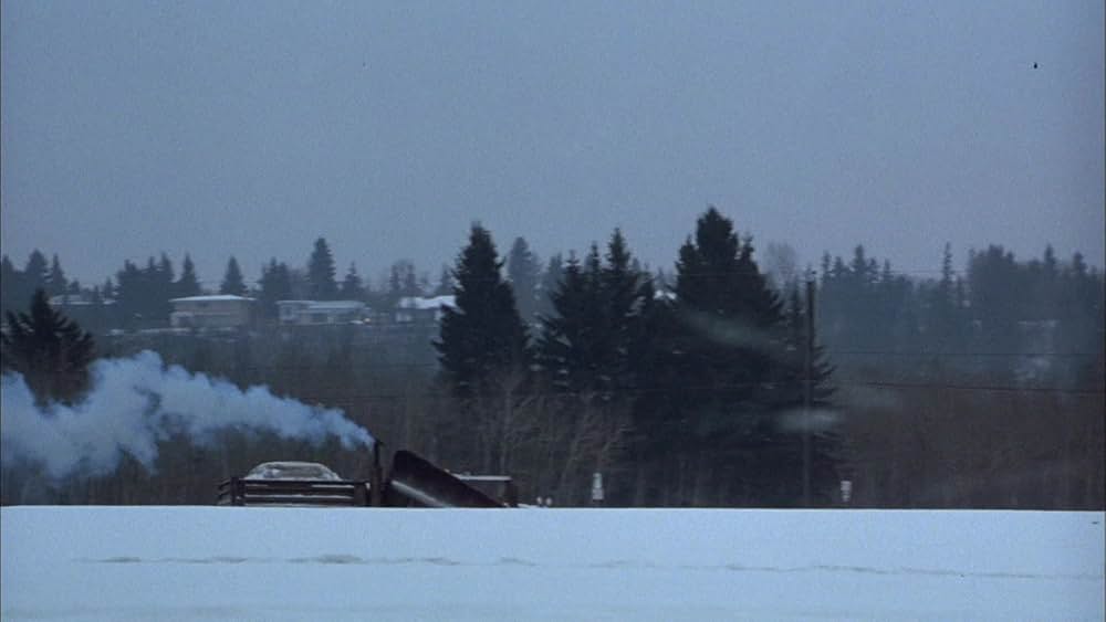 スノーデイ／学校お休み大作戦の画像