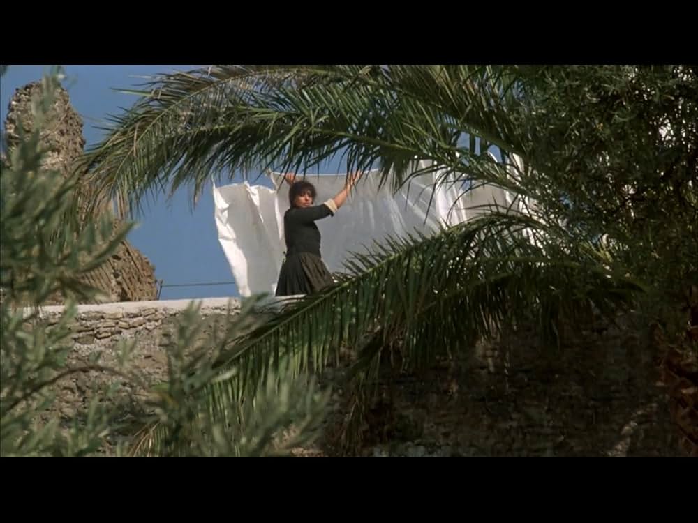 愛の彷徨の画像