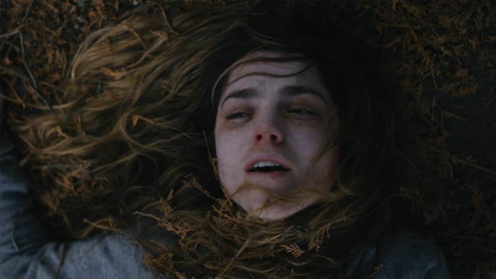 オーディナリー・デイズ 失踪した娘の写真