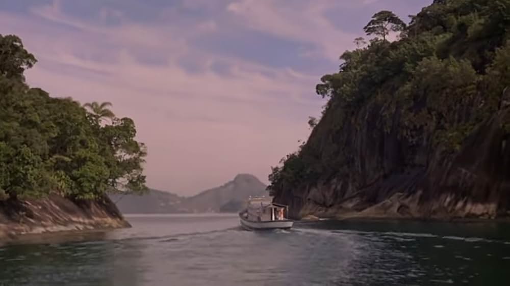 キラーフィッシュの画像