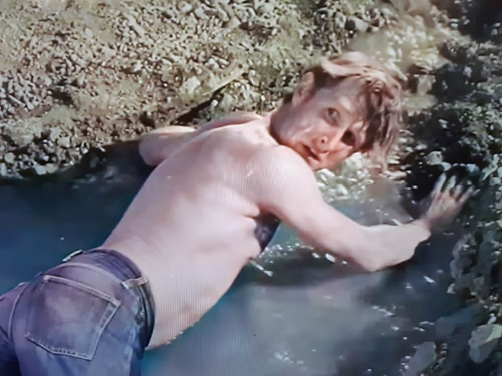 背高きテキサス人の画像