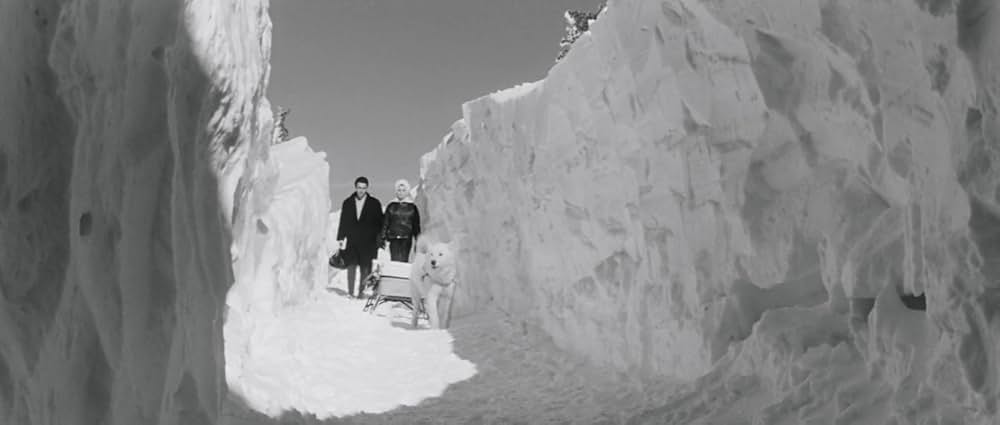 何がなんでも首ったけの画像