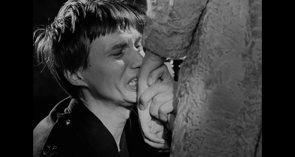 沈黙の歓びの画像