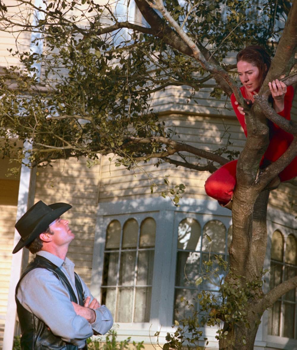 夕陽に立つ保安官の画像