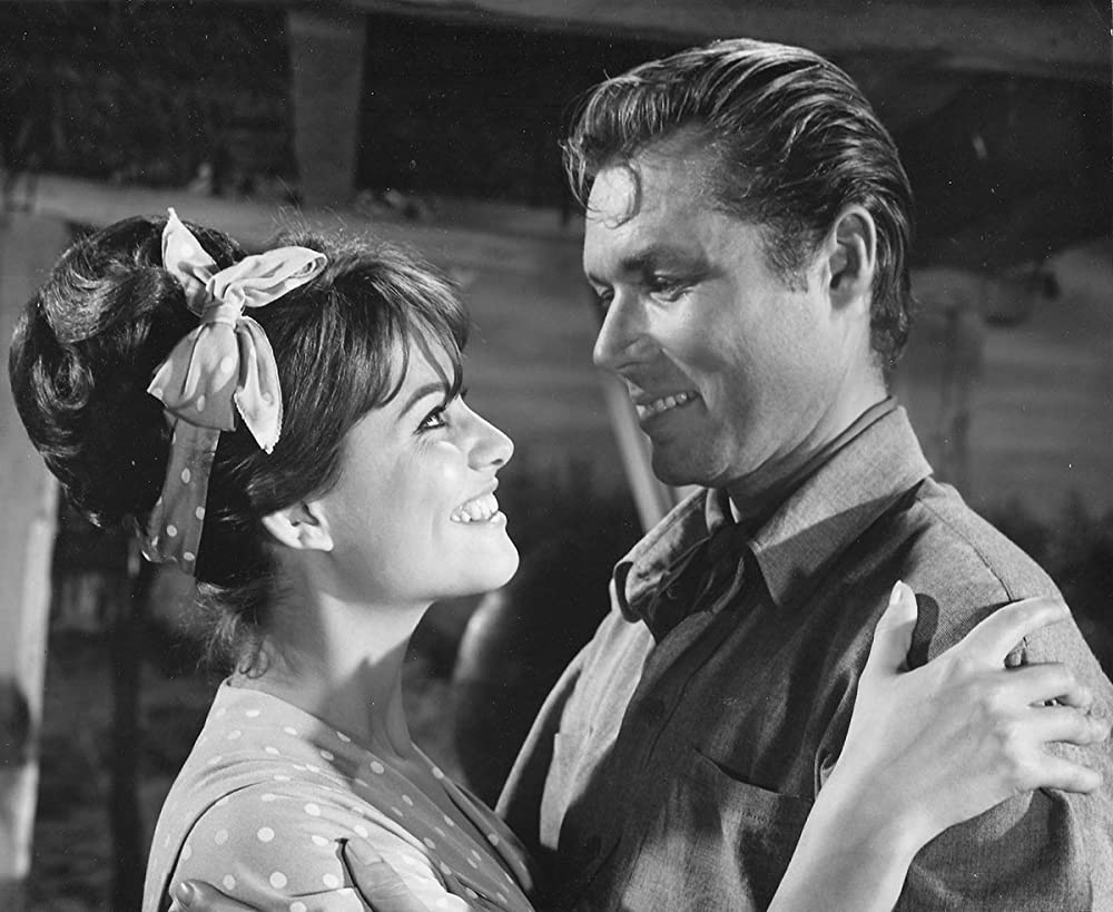 サーカスの世界の画像