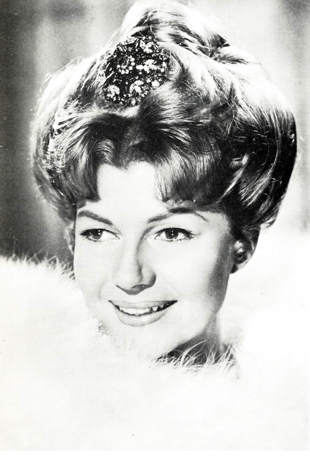 サーカスの世界の画像