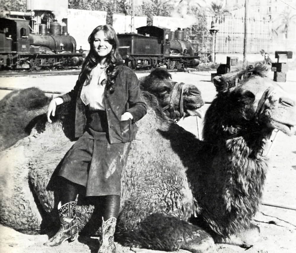 サーカスの世界の画像