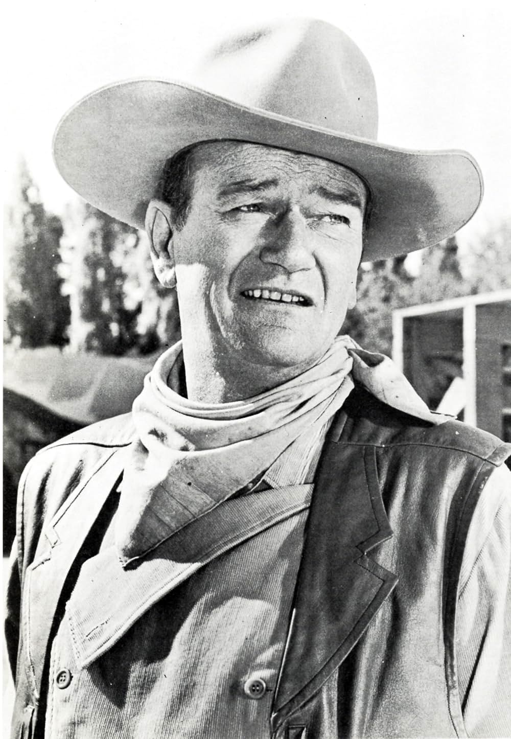 サーカスの世界の画像