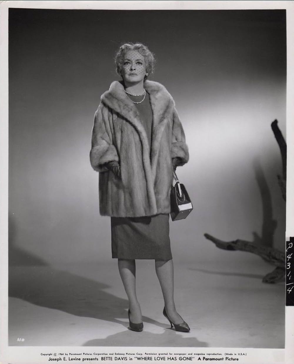 愛よいずこへの画像