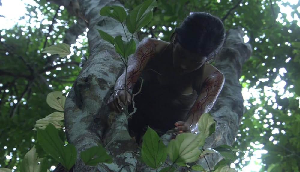 エンパイア・オブ・エイプスの画像