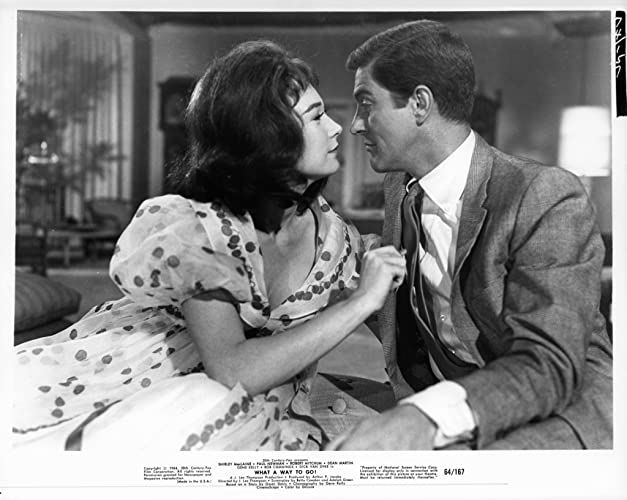 「何という行き方！」シャーリー・マクレーン & ディック・バン・ダイクの画像