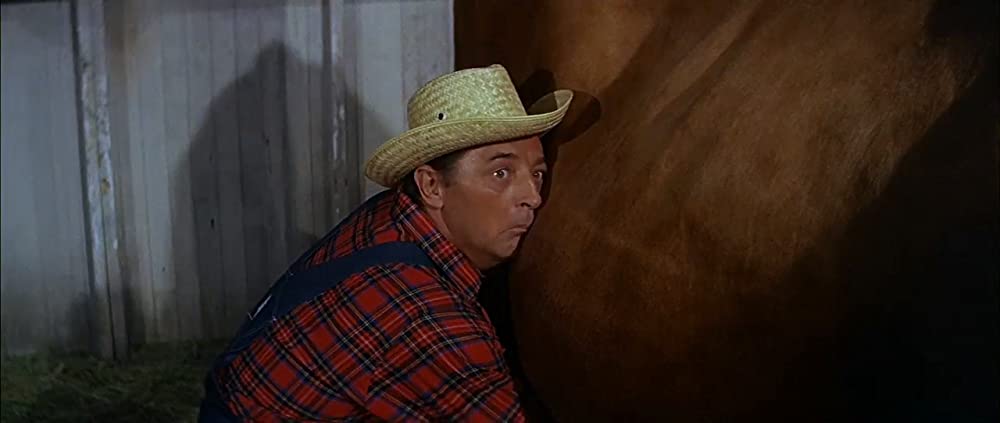 何という行き方！の画像