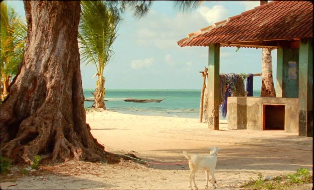 サムサラの画像