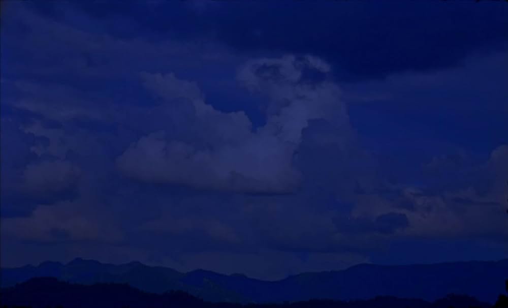 サムサラの画像