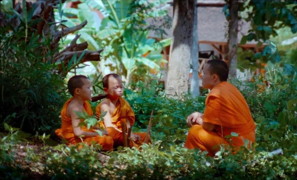 サムサラの画像