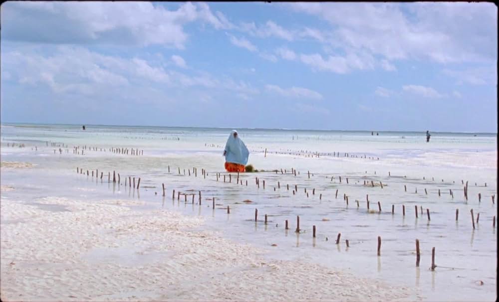 サムサラの画像