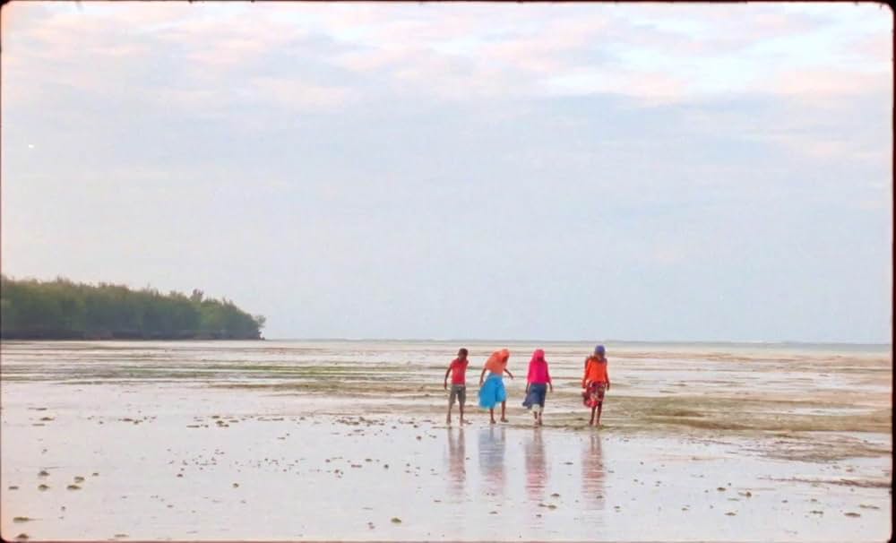 サムサラの画像