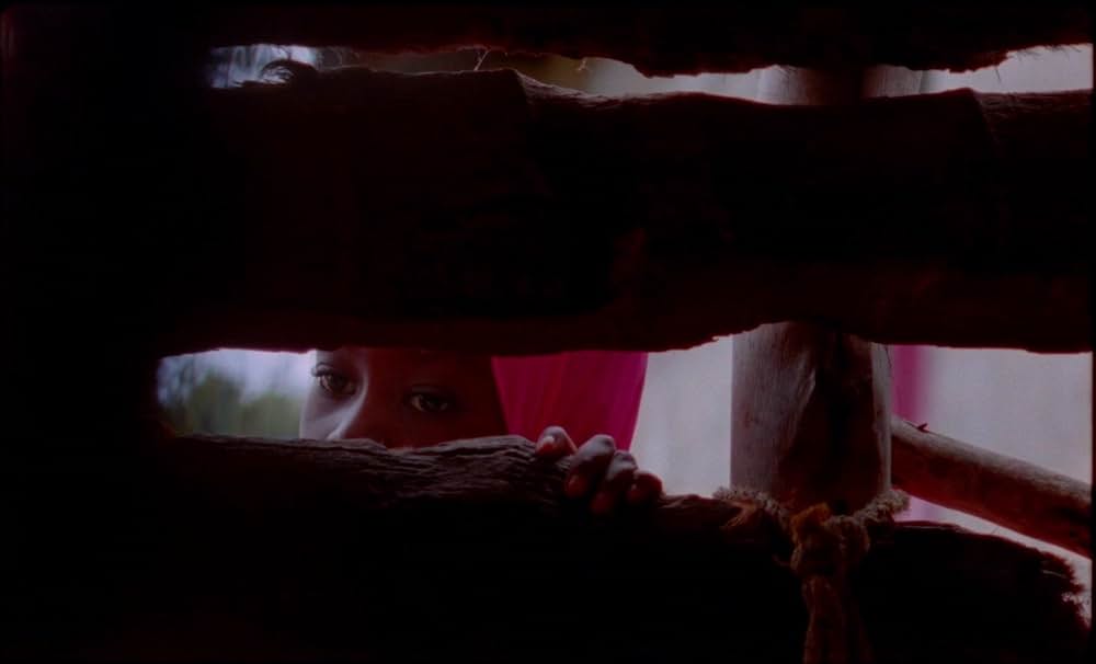 サムサラの画像