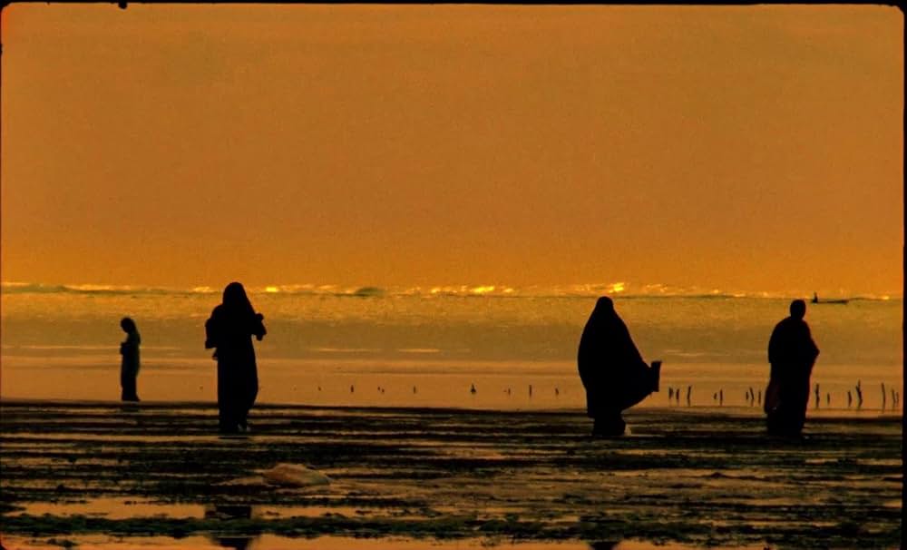 サムサラの画像