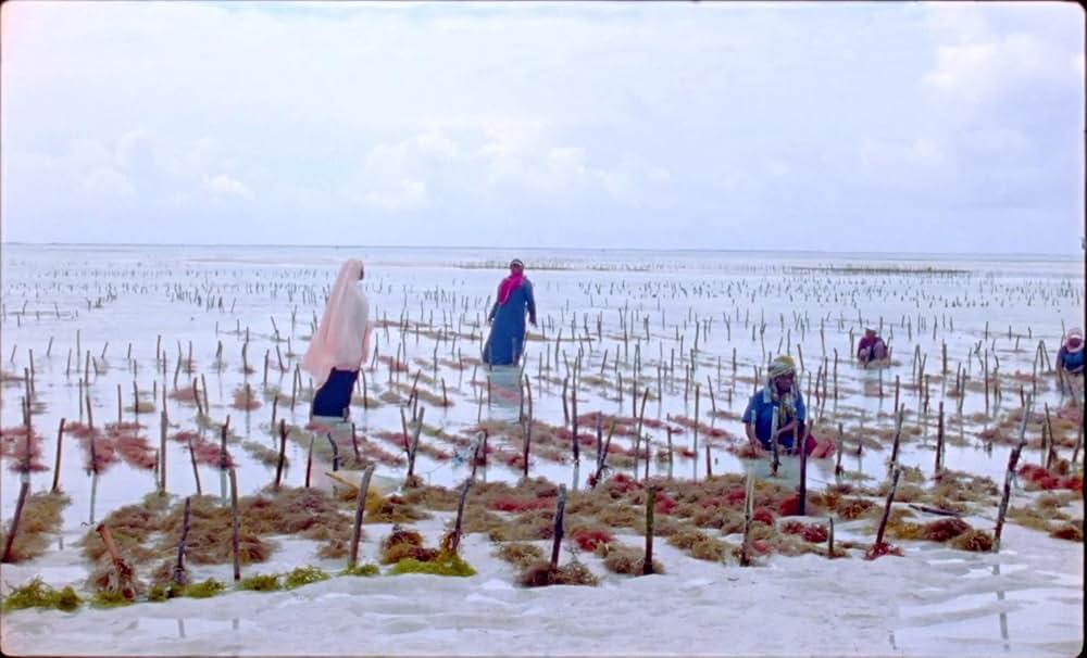 サムサラの画像