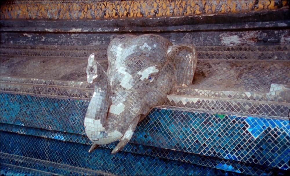 サムサラの画像