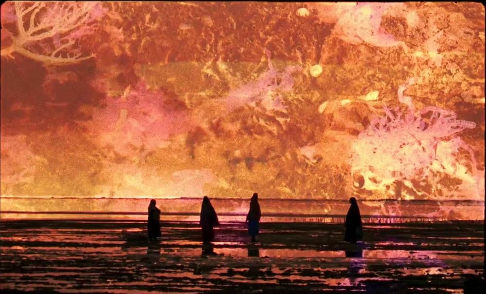 サムサラの画像