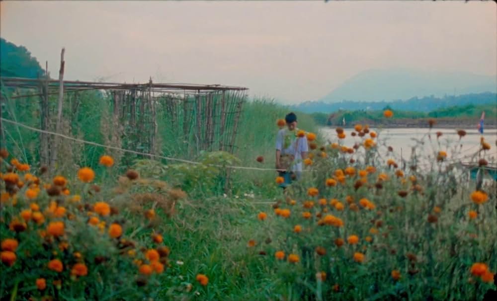 サムサラの画像