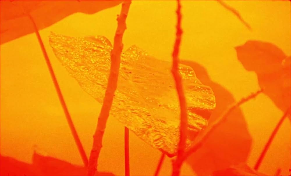 サムサラの画像