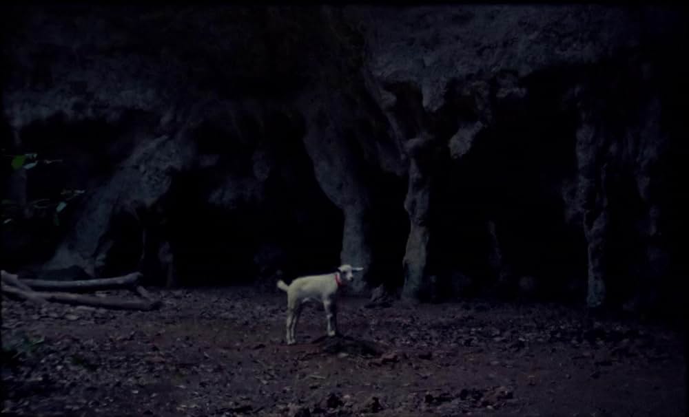 サムサラの画像