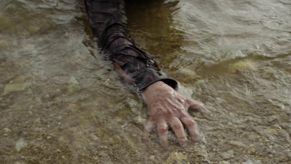 アナコンダvs. 殺人クロコダイルの画像