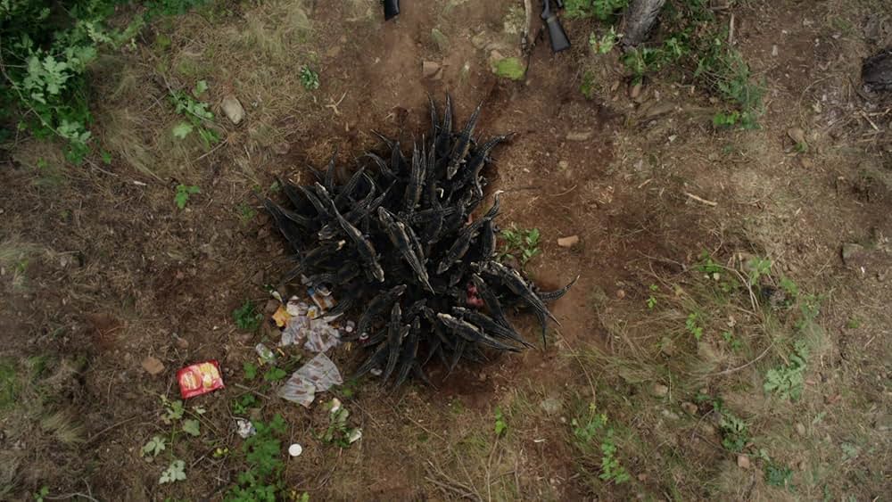 アナコンダvs. 殺人クロコダイルの画像