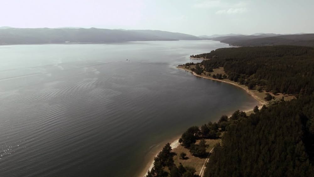 アナコンダvs. 殺人クロコダイルの画像