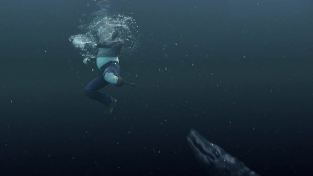 アナコンダvs. 殺人クロコダイルの画像