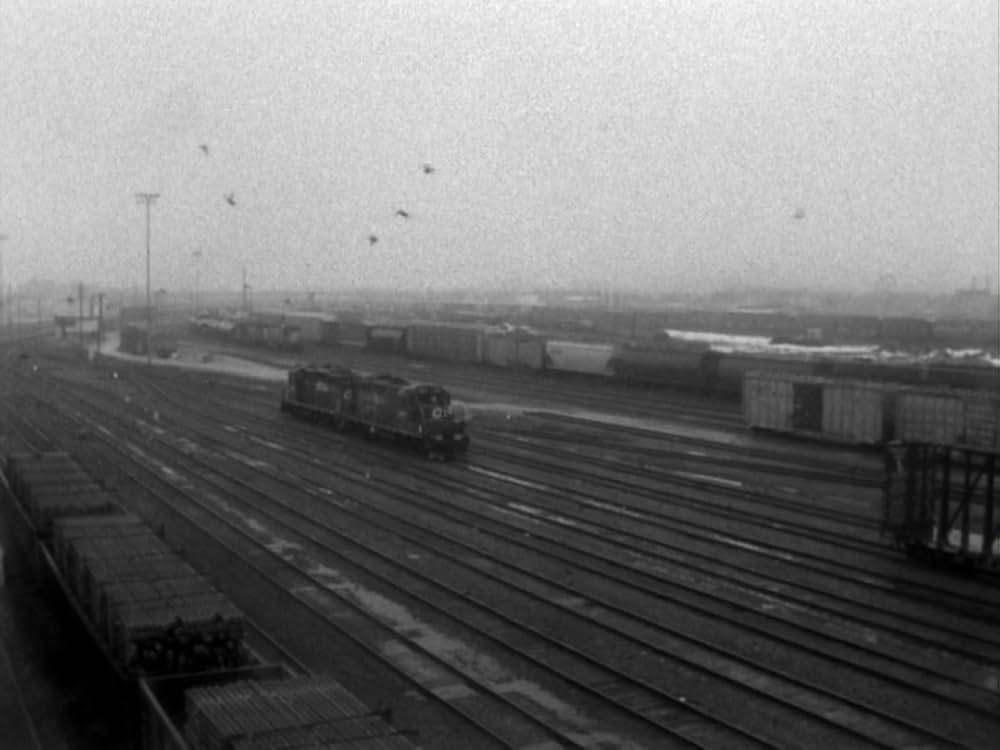 My Winnipeg（原題）の画像