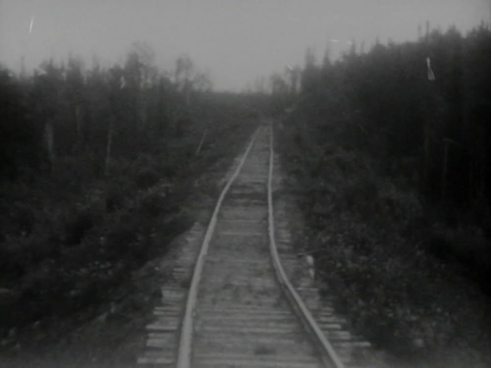 My Winnipeg（原題）の画像